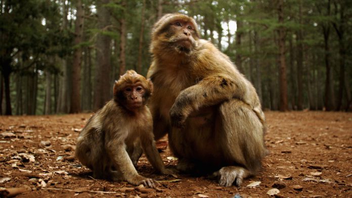 60f464e459bf5b6b2a73ad78