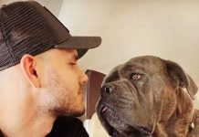 “Cuidado con Antonela”: otra publicación de Mauro Icardi generó una ola de mensajes tóxicos