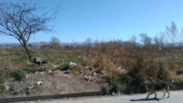 f608x342-194863_224586_0