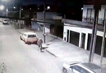 VIDEO: Le robaron, se le escapó el pitbull y se lo mataron de 26 puñaladas