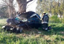 Familia entera murió tras chocar con un auto a un animal suelto en una ruta
