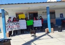 Detienen a un jujeño por violar y desmembrar a una perrita