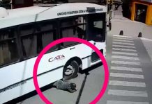 Video impactante: un colectivo le pasó por encima a un anciano, salió ileso y se fue caminando