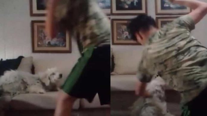 maltrato_animal_crop1635307344682.jpg_1734428432-min