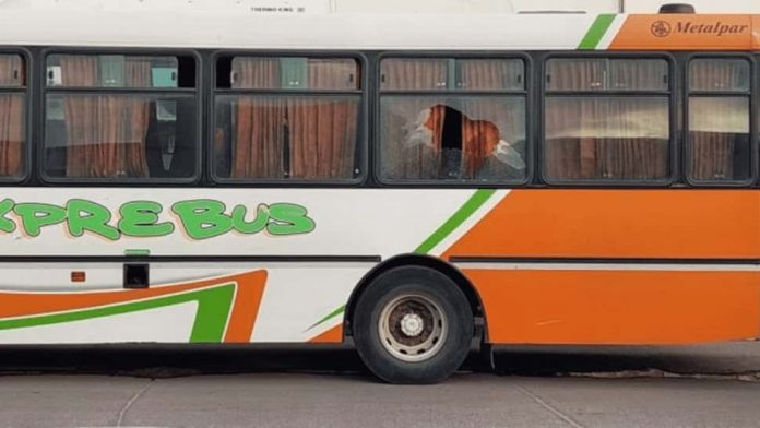 micro_1_crop1634240358058.png_1734428432-min