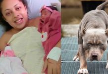 Esperó 9 años para ser madre: un pitbull mató a sus gemelas