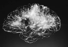 Un hombre sano sufre convulsiones y descubre que su cerebro está lleno de gusanos desde hace 20 años