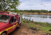 A lo Destino Final: Se tiró al río para escapar de un enjambre de abejas y se lo devoraron las pirañas