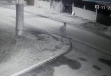 Imágenes aterradoras: muerto deambula por un barrio en las madrugadas y causa conmoción