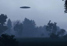 Una pareja disfrutaba un momento íntimo cuando un alienígena los interrumpió: “acabaron helados”