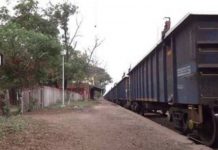 Un tren chocó a un camión con vacas y los vecinos aprovecharon y faenaron a los animales en el lugar