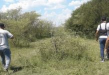 Estaba por entrar a jugar un partido de fútbol y su ex pareja la degolló y escapó