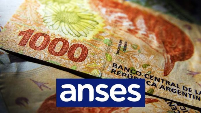 dinero-anses-billetes-5-min