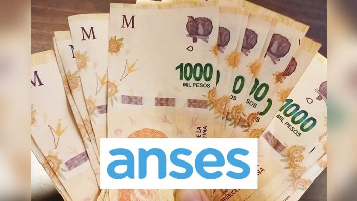 dinero-billetes-anses-0-0-1-min