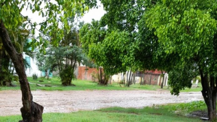 whatsapp_image_2022-01-06_at_16_24_59_x1x_x1x_1_crop1641497271499.jpeg_1734428432