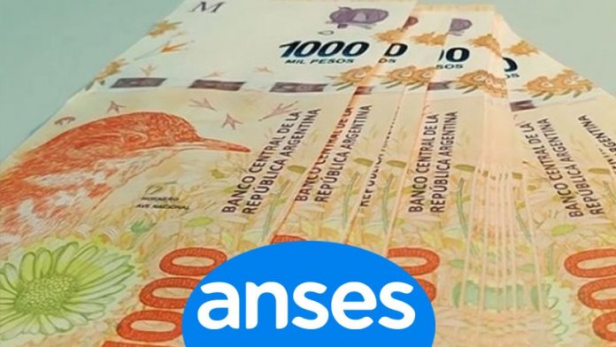 dinero-billetes-anses-002-min