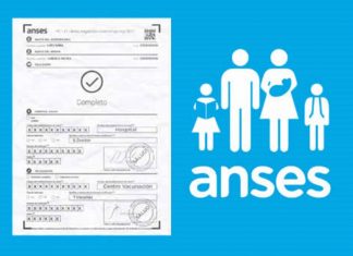 Atención AUH: qué hacer cuando la Libreta no se puede cargar en Mi ANSES