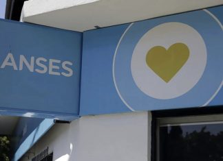 AUH por discapacidad: cuánto podés cobrar en noviembre si sumás Tarjeta Alimentar y Libreta