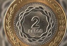 Pagan hasta $300.000 por una moneda de 2 pesos: cómo identificarla y dónde se vende