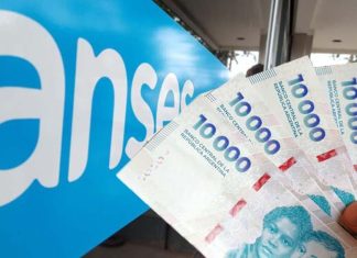 La ayuda mensual de ANSES que pocos conocen y paga miles de pesos a cada beneficiario