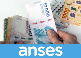 No es un bono: quiénes recibirán más de $860.000 de ANSES en julio