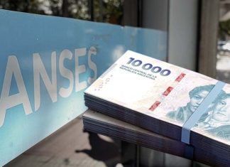 ANSES confirmó los montos del Pago Único en noviembre: cómo es el trámite para cobrar $556.000