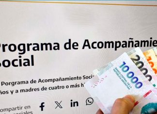 Acompañamiento Social: cambian los requisitos para cobrar y confirman si hay nuevas inscripciones